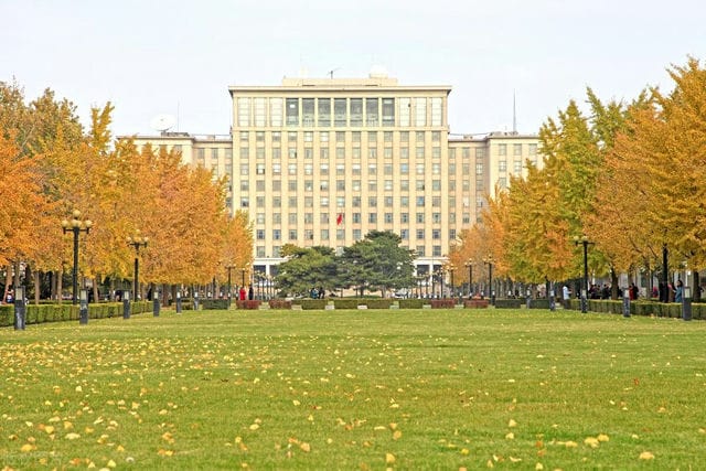 大学生上3年半网课完成结婚生子 具体怎么回事