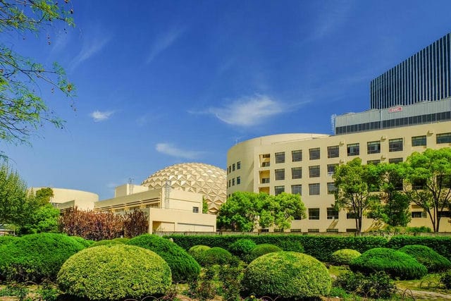 2025年深圳学什么专业好